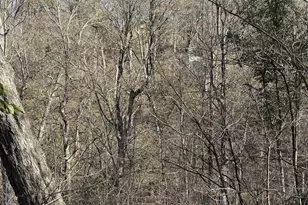 21478 County Hwy Zz Rd, Richland Center, WI 53581 - Photo 56