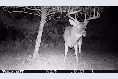 21478 County Hwy Zz Road, Richland Center, WI 53581 - Photo 38