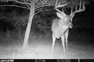 21478 County Hwy Zz Rd, Richland Center, WI 53581 - Photo 38