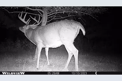 21478 County Hwy Zz Road, Richland Center, WI 53581 - Photo 60