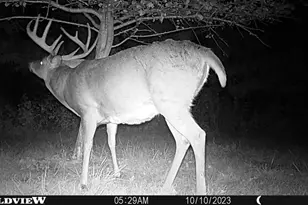 21478 County Hwy Zz Rd, Richland Center, WI 53581 - Photo 60