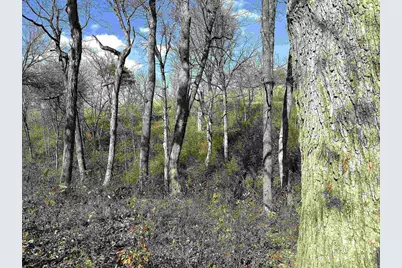 21478 County Hwy Zz Road, Richland Center, WI 53581 - Photo 44