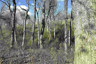 21478 County Hwy Zz Rd, Richland Center, WI 53581 - Photo 44