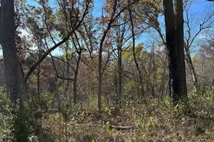 21478 County Hwy Zz Rd, Richland Center, WI 53581 - Photo 58