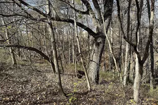 21478 County Hwy Zz Rd, Richland Center, WI 53581 - Photo 42