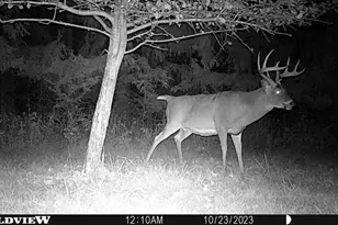 21478 County Hwy Zz Rd, Richland Center, WI 53581 - Photo 62