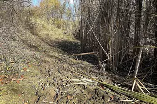 21478 County Hwy Zz Rd, Richland Center, WI 53581 - Photo 48