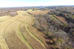 21478 County Hwy Zz Rd, Richland Center, WI 53581 - Photo 4