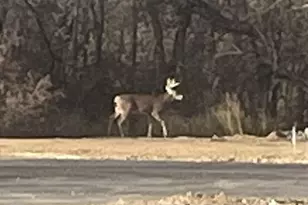 1222 Prairie Ave, Janesville, WI 53545 - Photo 30