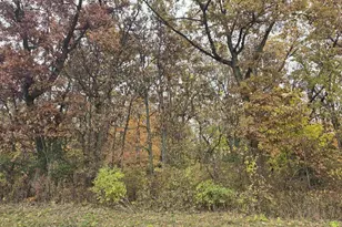 5596 Enchanted Valley Rd, Cross Plains, WI 53528 - Photo 26