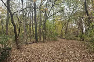 5596 Enchanted Valley Rd, Cross Plains, WI 53528 - Photo 24