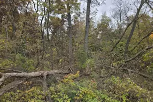 5596 Enchanted Valley Rd, Cross Plains, WI 53528 - Photo 22