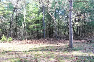 2380 State Road 13, Adams, WI 53910 - Photo 14