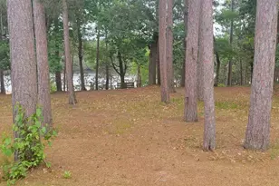 5 Walnut Trail, Wisconsin Dells, WI 53965 - Photo 4