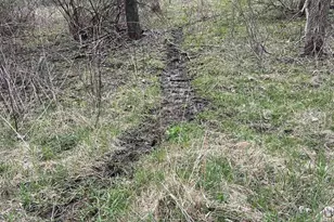 54631 Scenic View Rd, Mount Sterling, WI 54645 - Photo 6