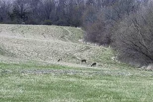 54631 Scenic View Rd, Mount Sterling, WI 54645 - Photo 44