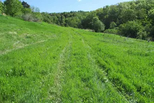 30228 County Hwy W, Elroy, WI 53929 - Photo 84