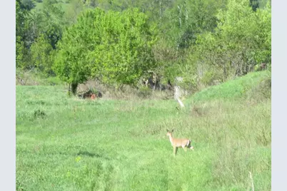 30228 County Hwy W, Elroy, WI 53929 - Photo 90