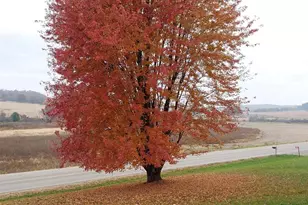 30228 County Hwy W, Elroy, WI 53929 - Photo 64