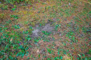 E8359 Co Rd H, Wisconsin Dells, WI 53965 - Photo 68