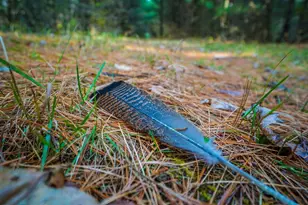 E8359 Co Rd H, Wisconsin Dells, WI 53965 - Photo 64