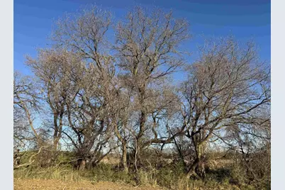 74 M/L Acres York Center Road, Marshall, WI 53559 - Photo 8