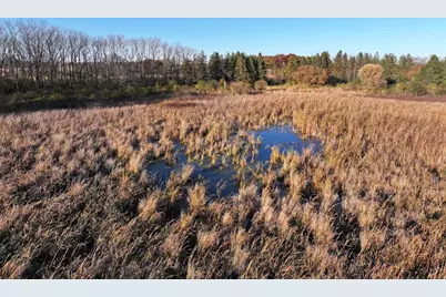 74 M/L Acres York Center Road, Marshall, WI 53559 - Photo 34