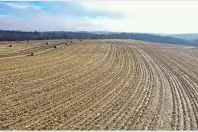 11.7 Acres Lunde Lane, Mount Horeb, WI 53572 - Photo 10