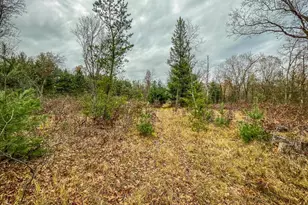 1972 W 7th Ct, Friendship, WI 53934 - Photo 34