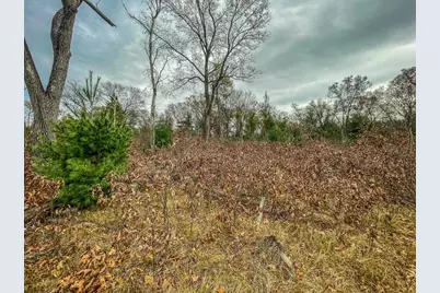 1972 W 7th Court, Friendship, WI 53934 - Photo 30