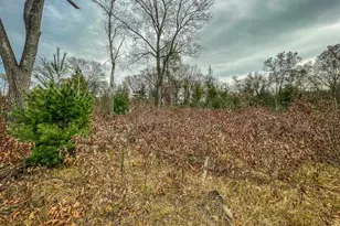 1972 W 7th Ct, Friendship, WI 53934 - Photo 30