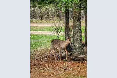 1972 W 7th Court, Friendship, WI 53934 - Photo 50