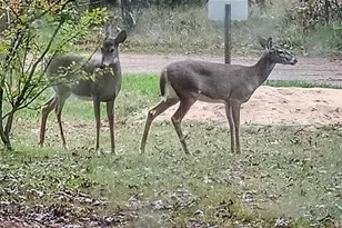 1972 W 7th Ct, Friendship, WI 53934 - Photo 4