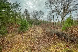 1972 W 7th Ct, Friendship, WI 53934 - Photo 32