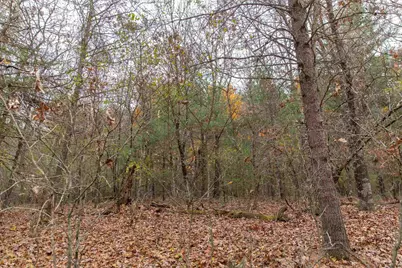 N8604 17th Avenue, Neshkoro, WI 54960 - Photo 54