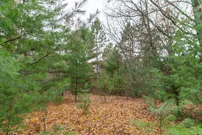 N8604 17th Avenue, Neshkoro, WI 54960 - Photo 50