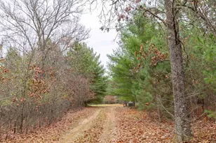 N8604 17th Ave, Neshkoro, WI 54960 - Photo 58