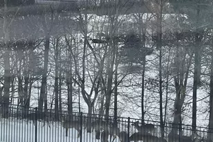 4228 Parkview Dr, Janesville, WI 53546 - Photo 1