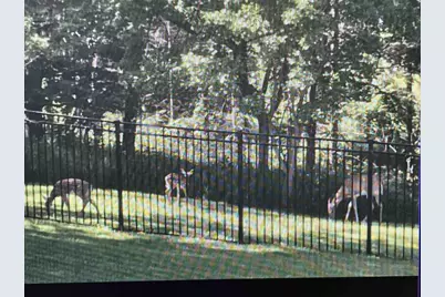 4228 Park View Drive, Janesville, WI 53546 - Photo 6