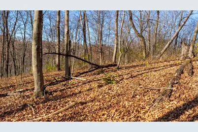 28302 Hwy 80, Richland Center, WI 53581 - Photo 34