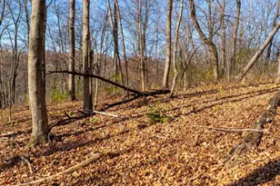 28302 Hwy 80, Richland Center, WI 53581 - Photo 34