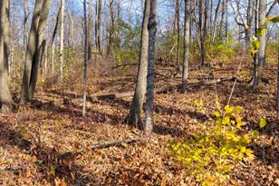 28302 Hwy 80, Richland Center, WI 53581 - Photo 32