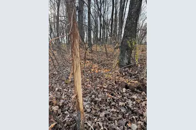 28302 Hwy 80, Richland Center, WI 53581 - Photo 24