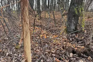 28302 Hwy 80, Richland Center, WI 53581 - Photo 24