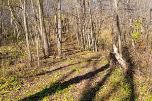 28302 Hwy 80, Richland Center, WI 53581 - Photo 44