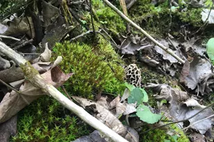 28302 Hwy 80, Richland Center, WI 53581 - Photo 80