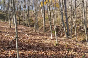 28302 Hwy 80, Richland Center, WI 53581 - Photo 40