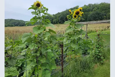 28302 Hwy 80, Richland Center, WI 53581 - Photo 76