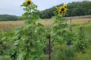 28302 Hwy 80, Richland Center, WI 53581 - Photo 76