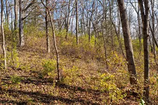 28302 Hwy 80, Richland Center, WI 53581 - Photo 54